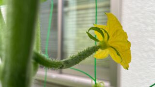 Thumbnail of post image 014